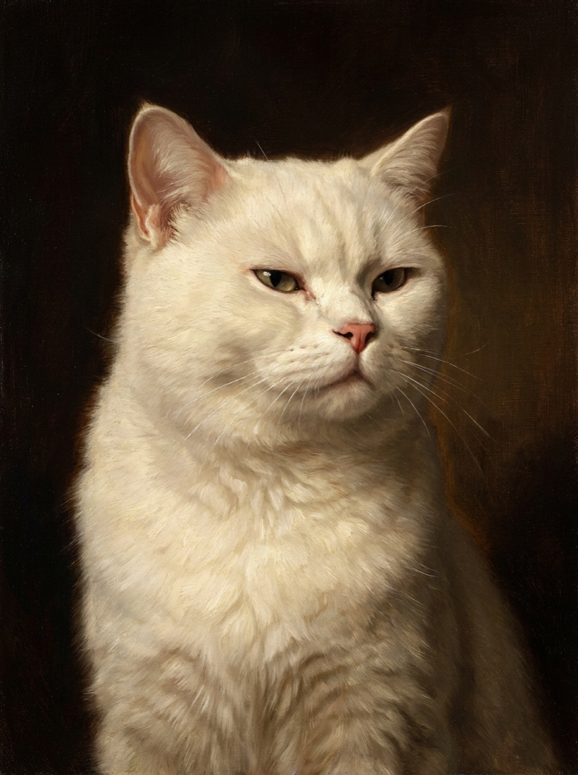 Oil portrait of a white longhair cat