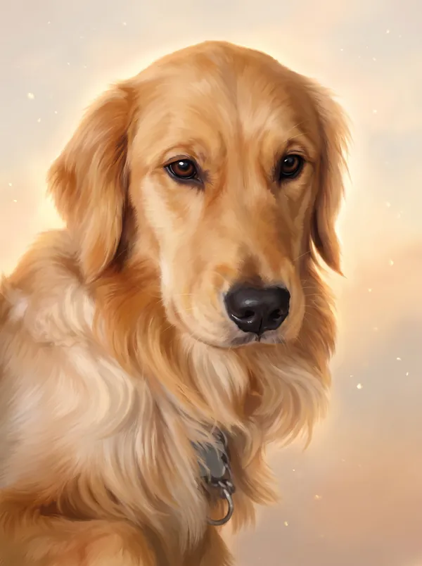 The same golden retriever in soft dawn light