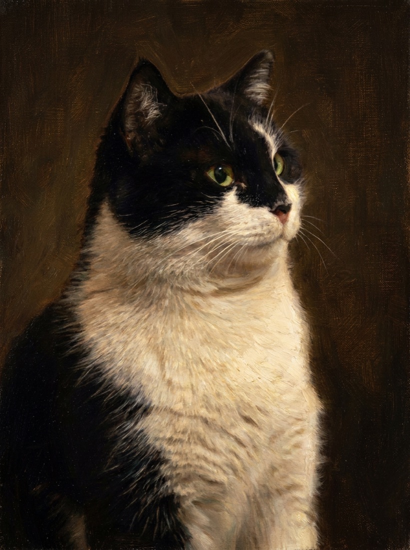 Oil portrait of a tuxedo cat with a white chest blaze
